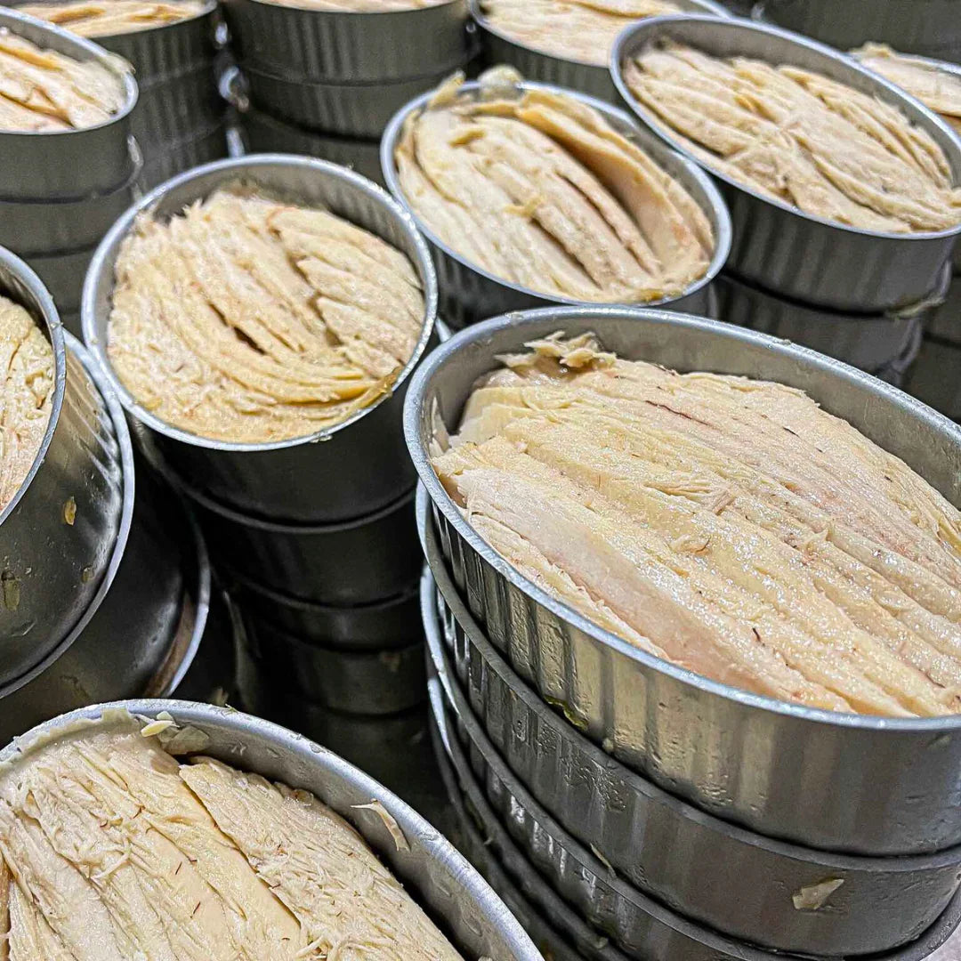 Bonito (White Tuna) Belly in Olive Oil