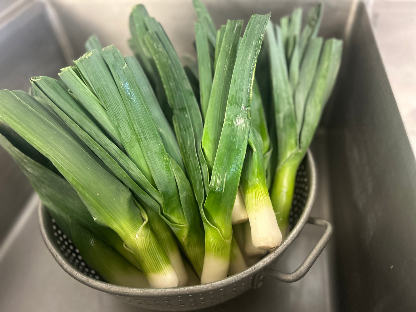 Spanish roasted vegetable soup